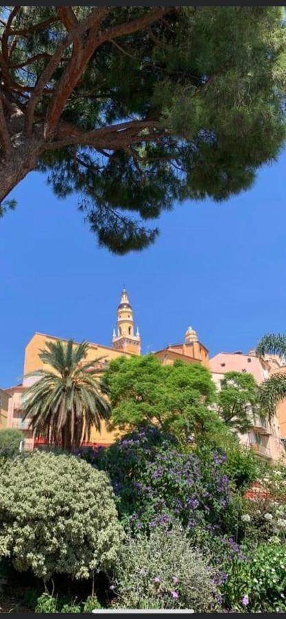 Menton Centre Vue Imprenable Sur Mer Et Jardin Bioves Exterior photo